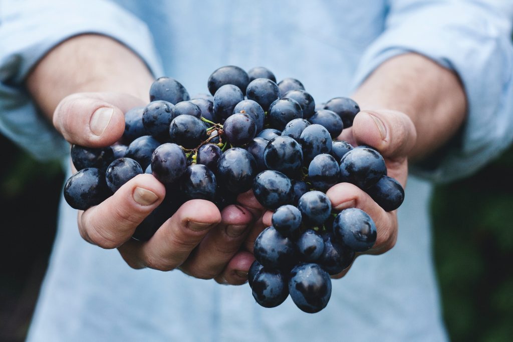 Processo di vinificazione: guida e consigli su come migliorare la fermentazione